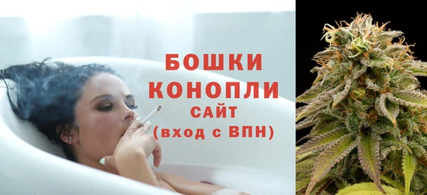 гашиш Богданович