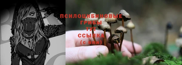 гашиш Богданович