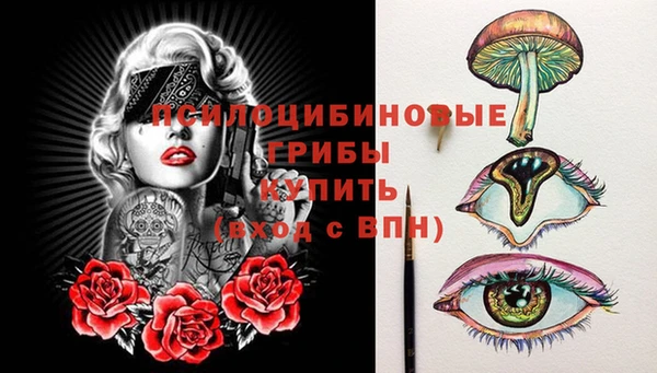 apvp Богородицк