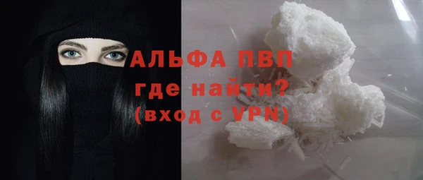 гашиш Богданович