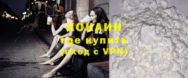 apvp Богородицк