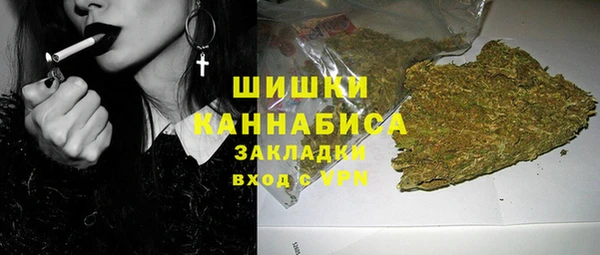 гашиш Богданович