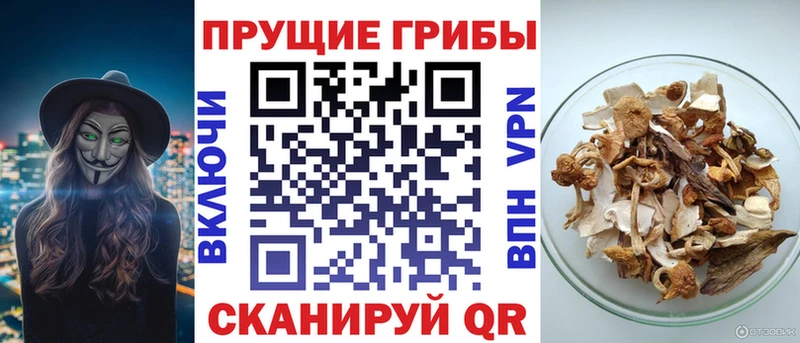 Галлюциногенные грибы прущие грибы  Купить закладки  Медвежьегорск 